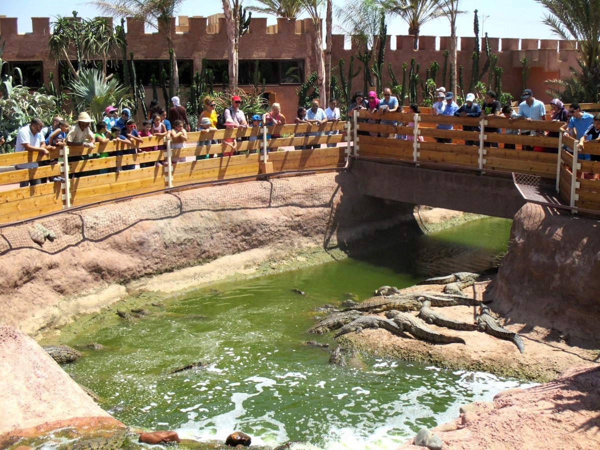 Crocoparc à Agadir