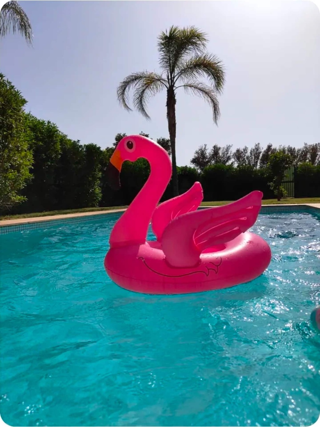 Piscine privée de la Villa Sofia près d'Agadir