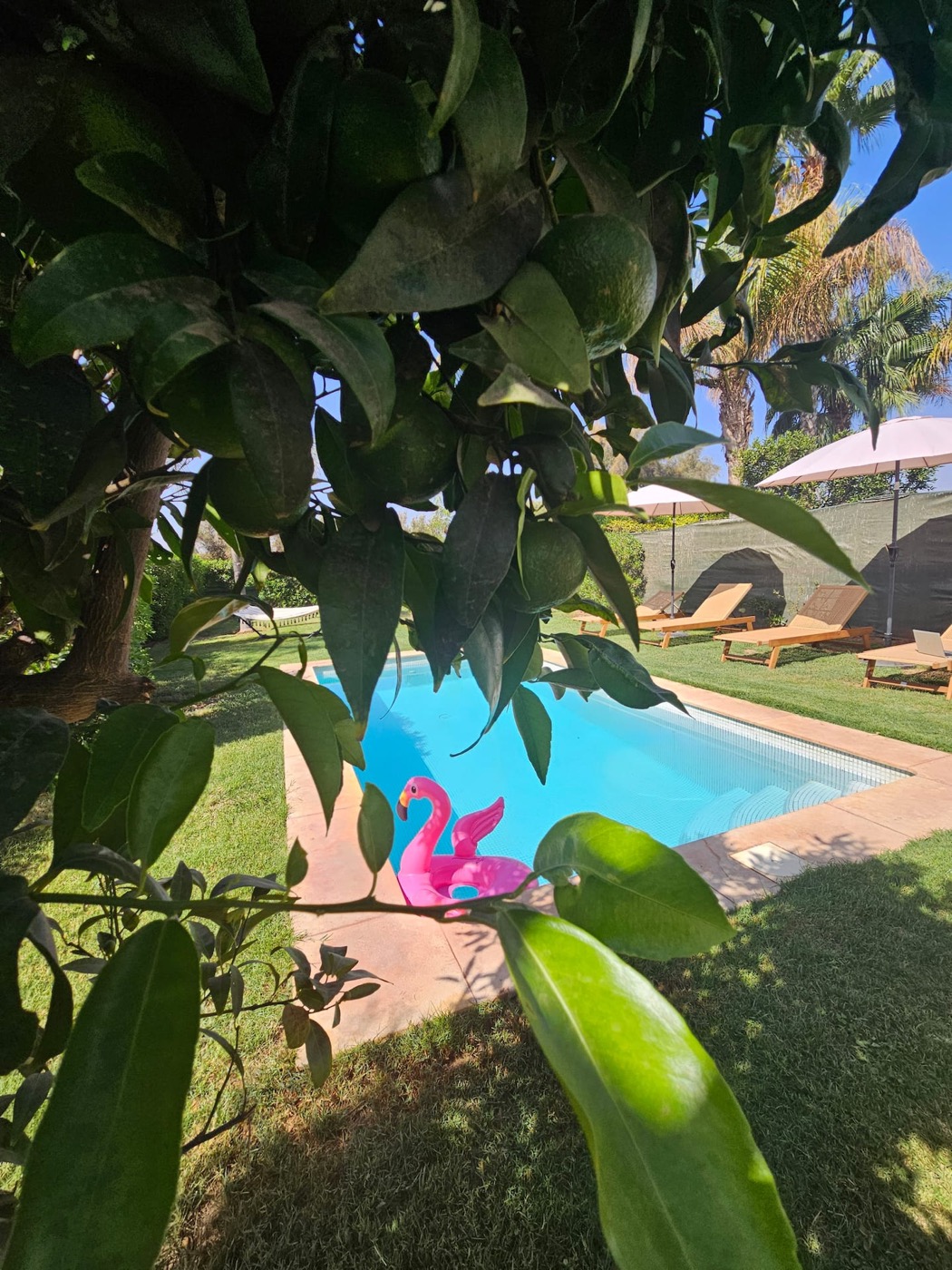 Sofia â villa avec piscine Ă Agadir