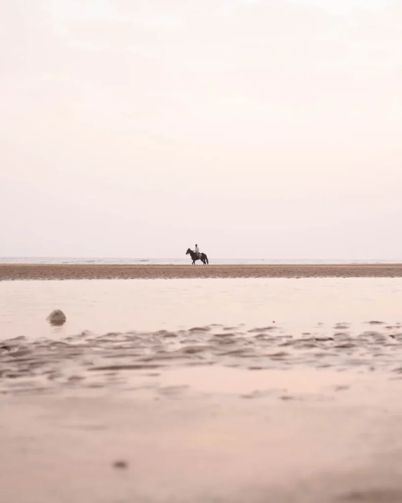 Horse riding on Taghazout beach at sunset