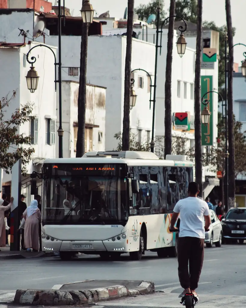 White city bus on a palm-lined street in Morocco