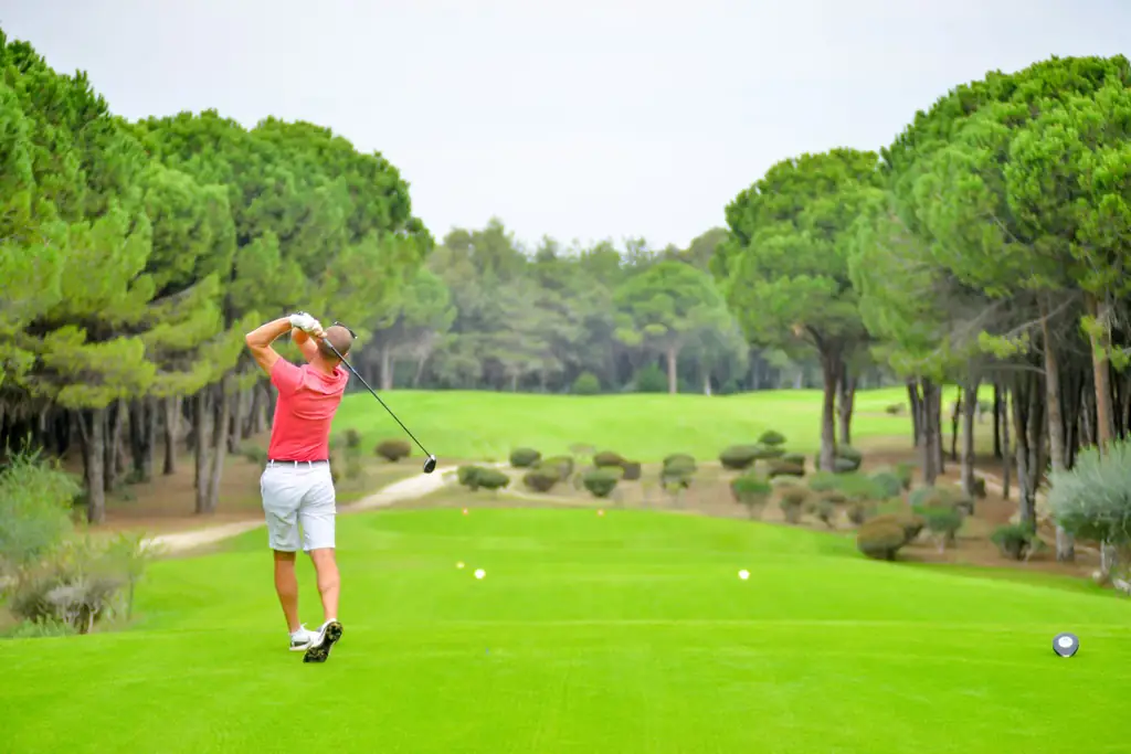 Golfer swinging a driver on a tree-lined fairway