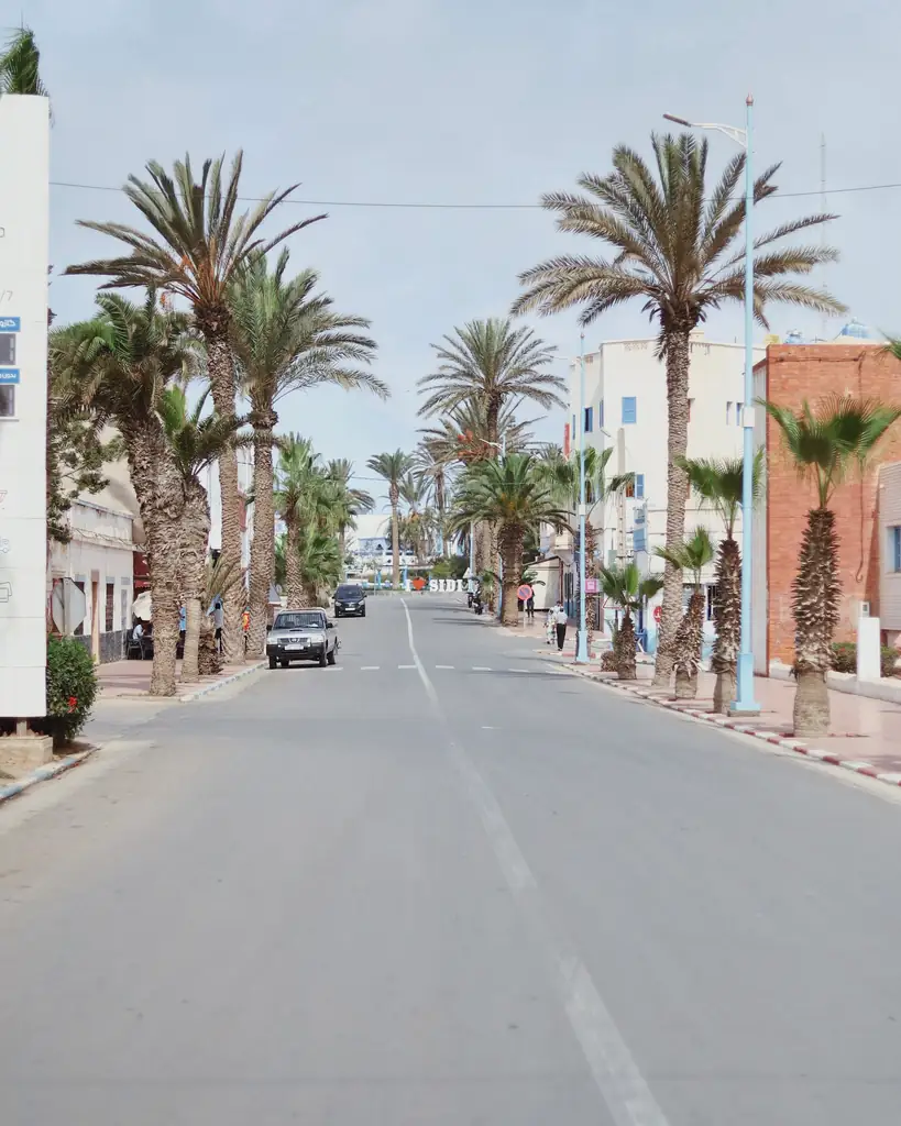 Wide palm-lined avenue with cars parked along the kerb in Morocco