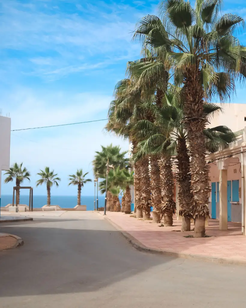 Palm-lined street leading down to the sea